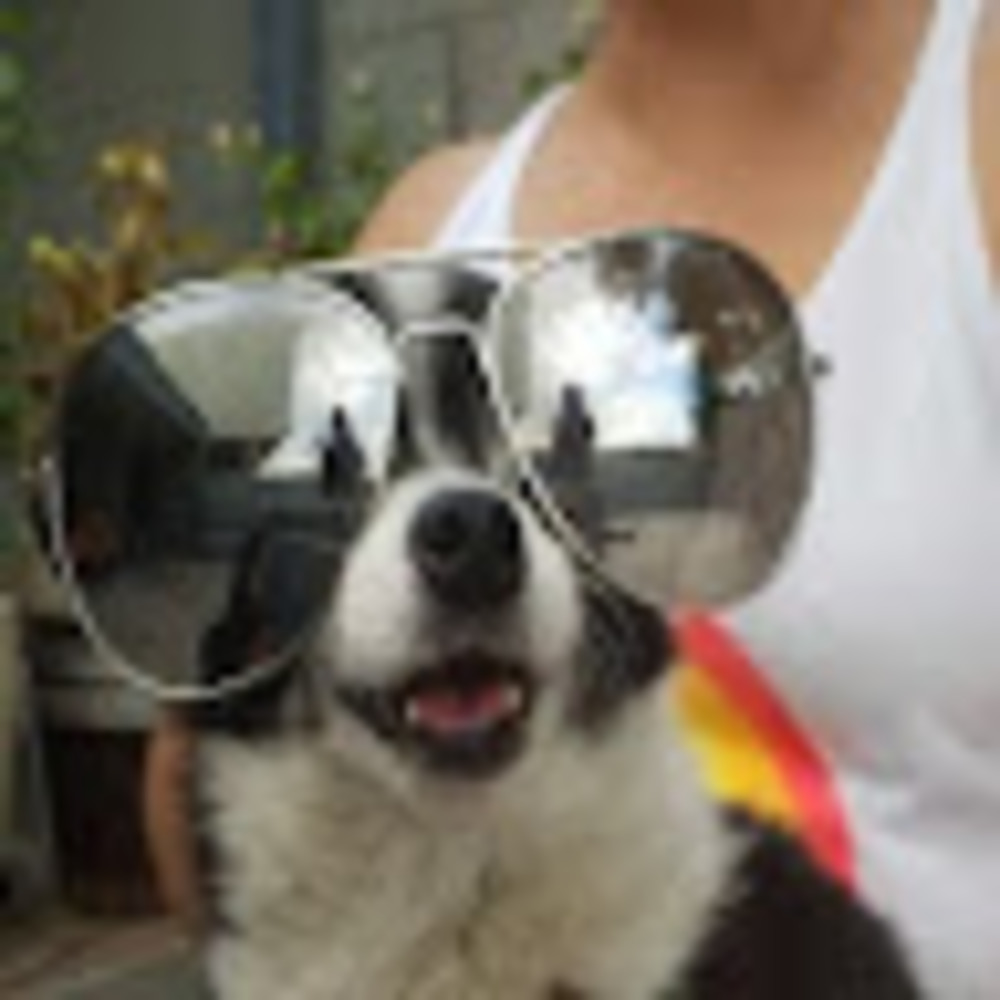 Meet your Posher, •jessica